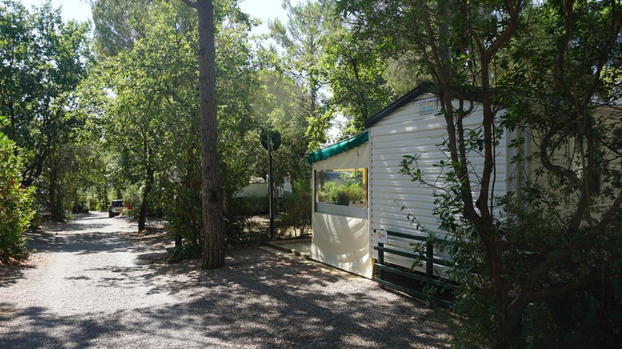 Chalets Met Buitenkeuken Op Camping Lei Suves - Joycasa Roquebrune-sur Argens Extérieur photo