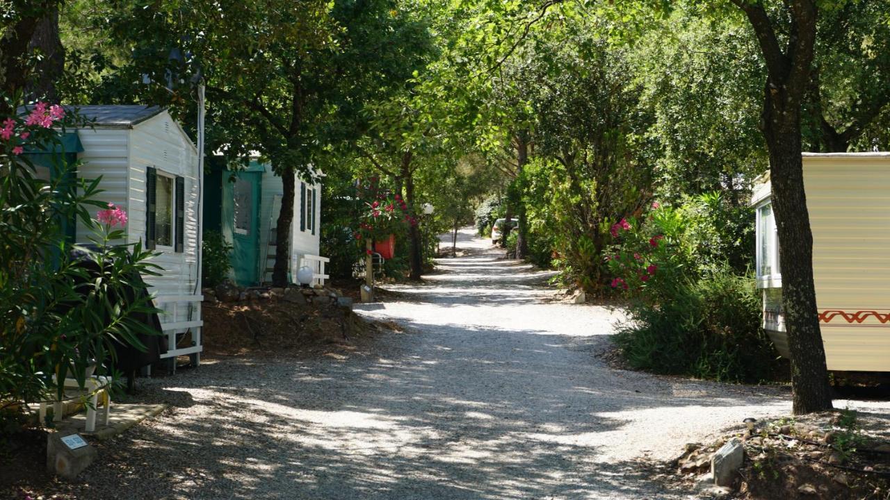 Chalets Met Buitenkeuken Op Camping Lei Suves - Joycasa Roquebrune-sur Argens Extérieur photo