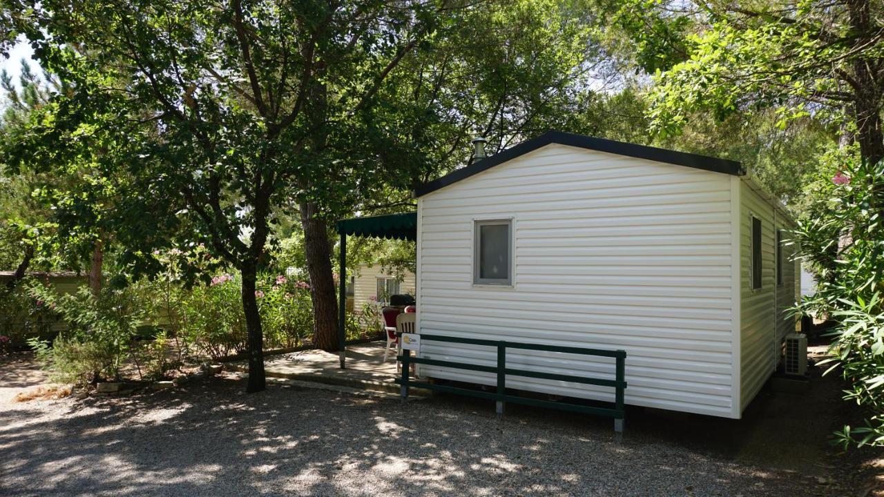 Chalets Met Buitenkeuken Op Camping Lei Suves - Joycasa Roquebrune-sur Argens Extérieur photo