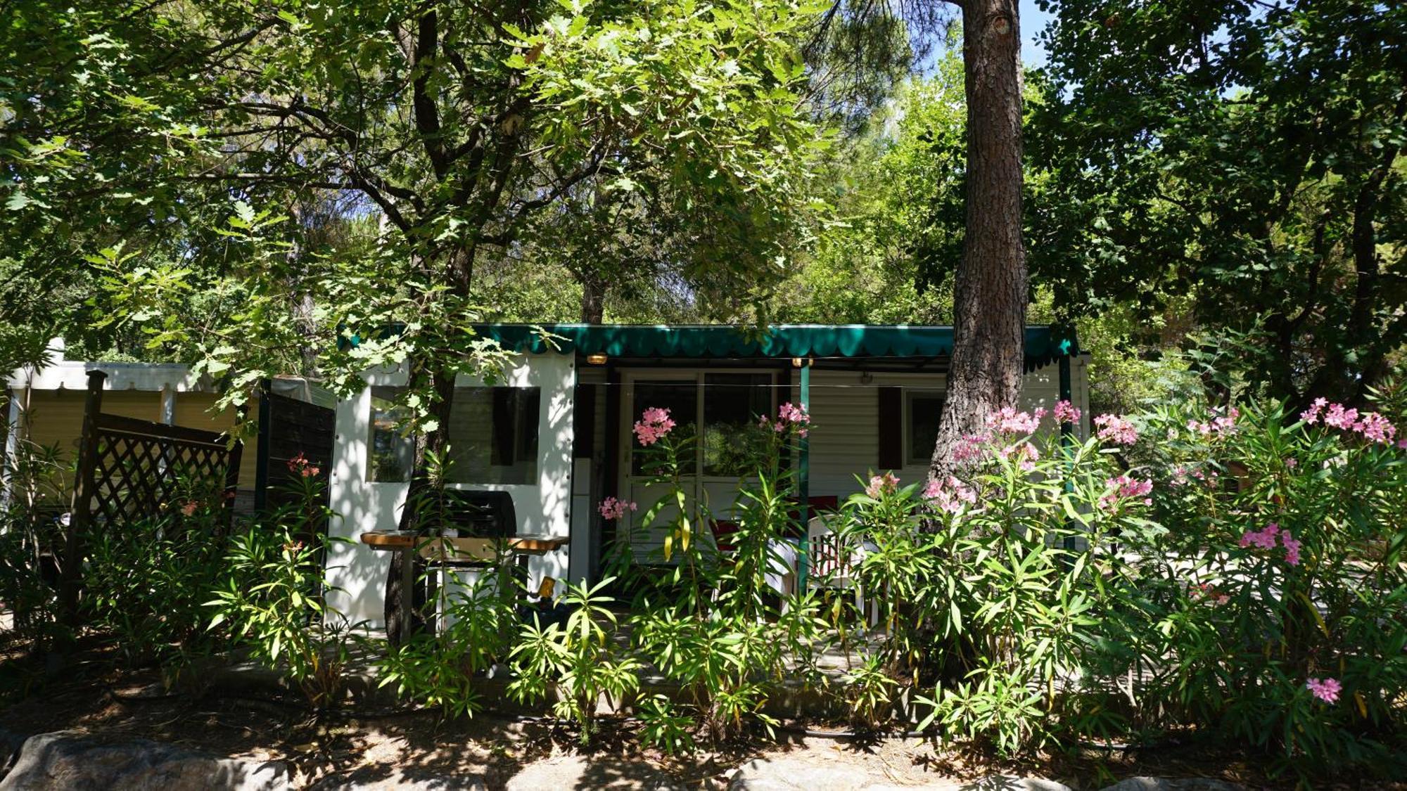 Chalets Met Buitenkeuken Op Camping Lei Suves - Joycasa Roquebrune-sur Argens Chambre photo